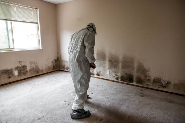 Best Mold Testing  in Dover Beaches North, NJ