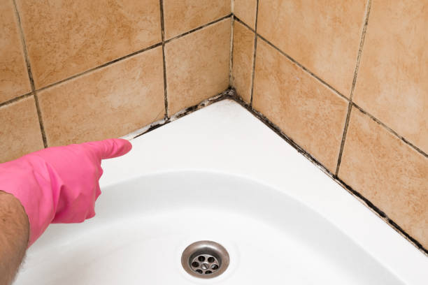 Best Mold Cleaning Services  in Dover Beaches North, NJ